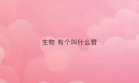 生物有个叫什么管(生物有哪些器官)